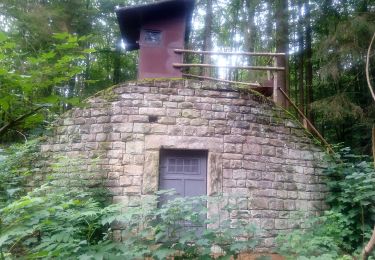 Tour Zu Fuß Miltenberg - Rundwanderweg Miltenberg Heidenschlag 2: Hösch-Hecken-Weg - Photo