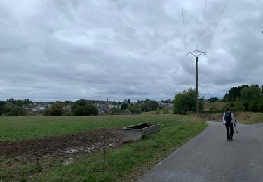 Trail Walking Vresse-sur-Semois - Toer Sugny 9  - Photo