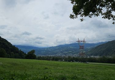 Trail Walking Sallanches - J12 - R10 - Cascade de l'Arpenaz, les lacs des Îlettes et Luzier - Photo