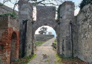 Trail Walking Le Perthus - Le fort de Bellegarde Le Perthus - Photo