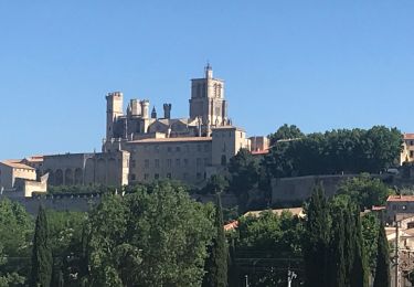 Tour Elektrofahrrad Béziers - En remontant le Canal du Midi - Photo