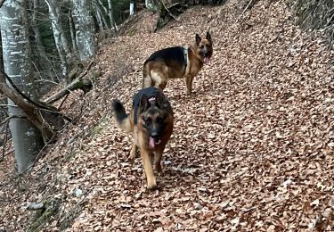 Tour Wandern La Motte-Saint-Martin - Serre de la roche - Photo