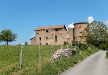 Tocht Stappen Jarnosse - 14327818-Jarnosse AM 8 km - Photo