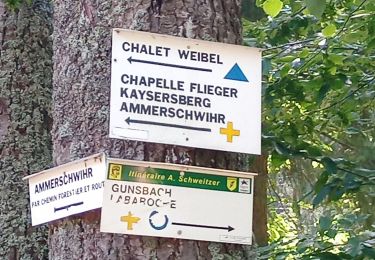 Randonnée Marche Kaysersberg-Vignoble - Aubure - Chalet Weibel (12/08/2021) - Photo