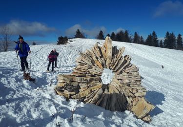 Percorso Racchette da neve Corrençon-en-Vercors - Corrençon - Malaterre - Chateau Julien - Photo