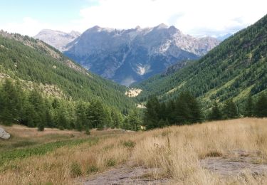 Trail Walking Puy-Saint-Vincent - Narreyrou - Photo