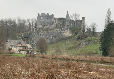 Randonnée Marche Anhée - Ruines de Montaigle - Photo