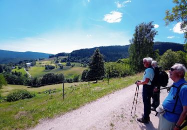 Tour Wandern Altweier - Aubure  - Pierre des 3 bans (23/07/2020) - Photo