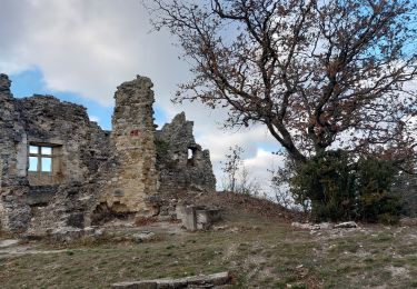 Trail Walking Rochefort-en-Valdaine - Le Colombier Château Rochefort en Valdaine 6km - Photo