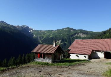 Tocht Stappen Châtel - covagnes - Photo