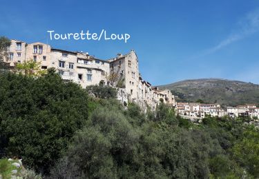 Randonnée Marche La Colle-sur-Loup - La colle sur Loup/Tourette  - Photo