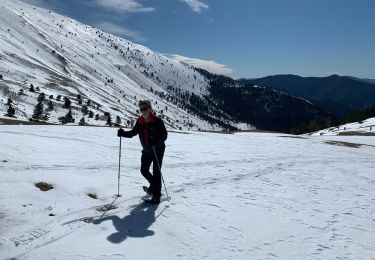 Randonnée Marche Glandage - Grimone col de lachau col de peyere - Photo