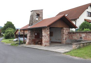 Tour Zu Fuß Hilders - Batten Rundweg 14 - Photo