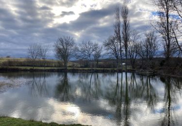 Tocht Stappen Aujols - Aujols lac de Fraysse  - Photo