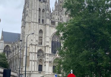 Tocht Stappen Stad Brussel - Compostelle 1 : Bruxelles Cathédrale Saints Michel & Gudule - Uccle Calevoet - Photo