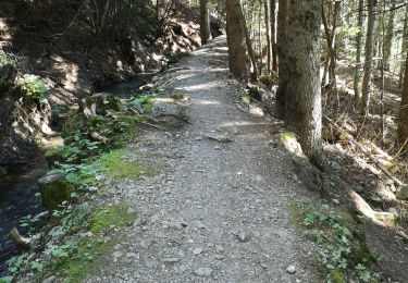 Excursión Marcha nórdica Ayent - bisse d'Ayen  - Photo