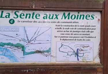 Trail Walking Heurteauville - HONFLEUR 04 - La Sente aux Moines et Abbaye de Jumiêges (Normandie) - Photo
