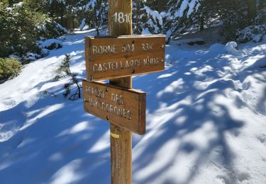 Trail Walking Valcebollère - refuge corones  - Photo