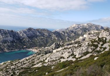 Trail Walking Marseille - Baumettes Sormiou Morgiou - Photo