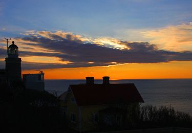 Percorso A piedi  - Blå strövstig - Photo