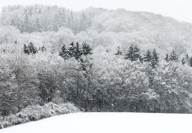 Tocht Te voet Tholey - Schaumberg-Tafeltour - Photo