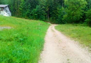 Trail Walking Le Locle - Marche 2019 - Colo - Photo