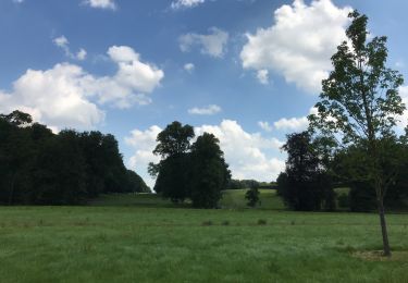 Randonnée A pied Clavier - Les Avins château du Houyoux - Photo