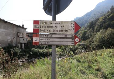 Tocht Te voet Olmo al Brembo - Sentiero 129: Olmo al Brembo - Roccolo di Calche - Photo
