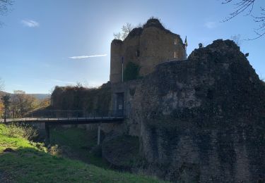 Randonnée Marche Theux - Les ruines du château de Franchimont - Photo