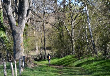 Tour Wandern Volvic - Egaules (rallongé) - Photo