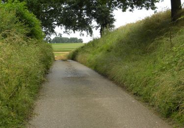 Trail On foot Riemst - Molenbeemd Natuureducatief pad - Photo