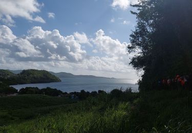 Tour Wandern La Trinité - boucle du Galion - Photo