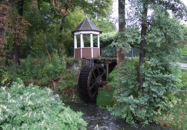 Tour Zu Fuß Tambach-Dietharz - Ww Tambach-Dietharz - Rennsteig - Photo