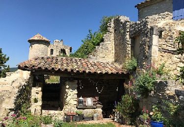 Excursión Senderismo Portes-en-Valdaine - Portes-en -Valdaine Serre de la Dame10km. - Photo