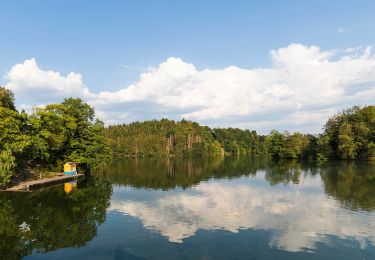 Tocht Te voet Waimes - Barrage : Warche - Walk - Photo