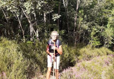 Tocht Stappen Sorges et Ligueux en Périgord - sorges ouest bois - Photo