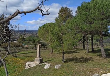 Tour Mountainbike Remoulins - Vtt montfrin aramon saze - Photo