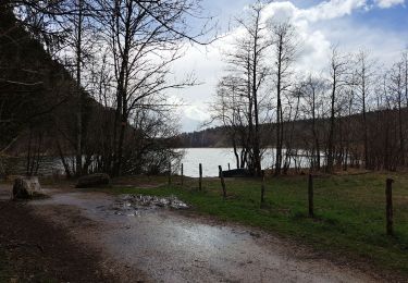 Trail Walking Le Frasnois - Le Frasnois - Tour des lacs - Photo