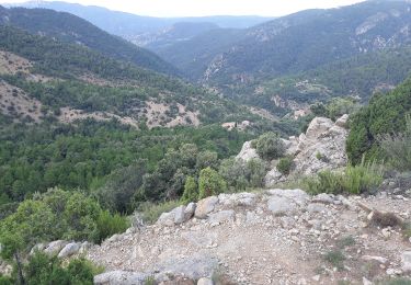 Trail On foot Vistabella del Maestrat - Sant Joan - Sant Joan por Mas de Macén - Photo