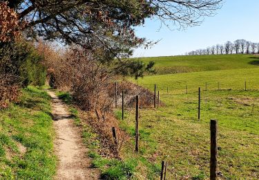 Tocht Stappen Waver - GSK - Gastuche - Photo