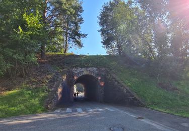 Tour Wandern Wingen an der Moder - La Pierre des 12 Apôtres - Photo