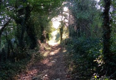Trail Walking Lalinde - Lalinde 13km - Photo