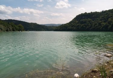 Tour Wandern La Tour-du-Meix - St Christophe  - Photo