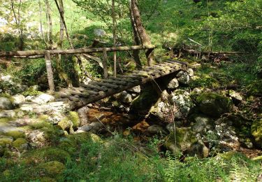 Trail Walking Thueyts - Thueyts-Passerelle de Luzet-Champfagot-Barnas  - Photo