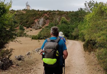 Excursión Senderismo La Couvertoirade - La couvertoirade - Photo