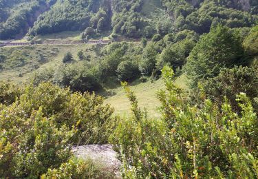 Randonnée Marche Laruns - peyrelueG3 2021 - Photo