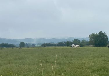 Tocht Stappen Houyet - Hour - Photo