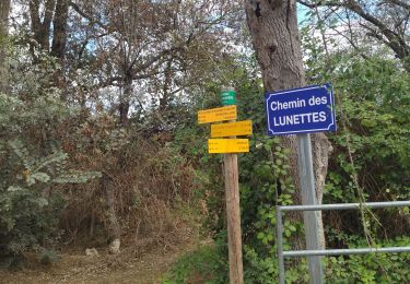 Tocht Wegfiets Le Grau-du-Roi - 30 Lunel st Laurent aigouze gallician vv - Photo