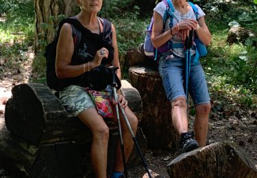 Tour Wandern Plan-d'Aups-Sainte-Baume - Sté beaume - Photo