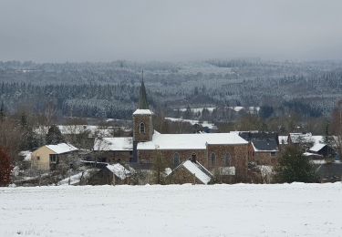 Tour Wandern Tenneville - rando journal 8/01/2021 - Photo